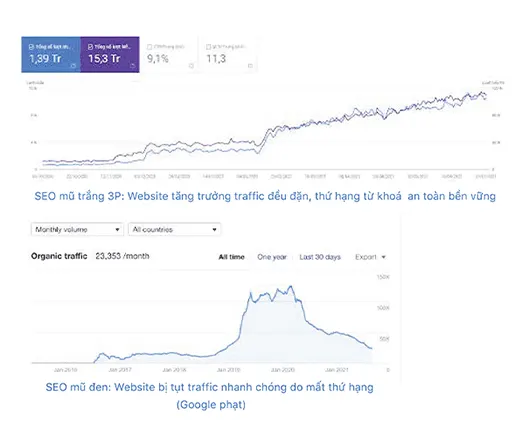 Dịch Vụ SEO Tổng Thể